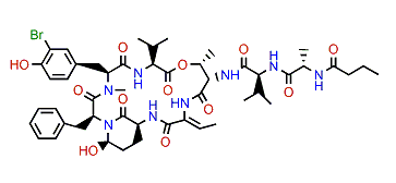 Lyngbyastatin 10